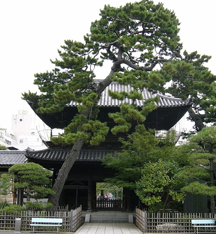 Sengakuji in Tokyo were the 47 ronin are buried